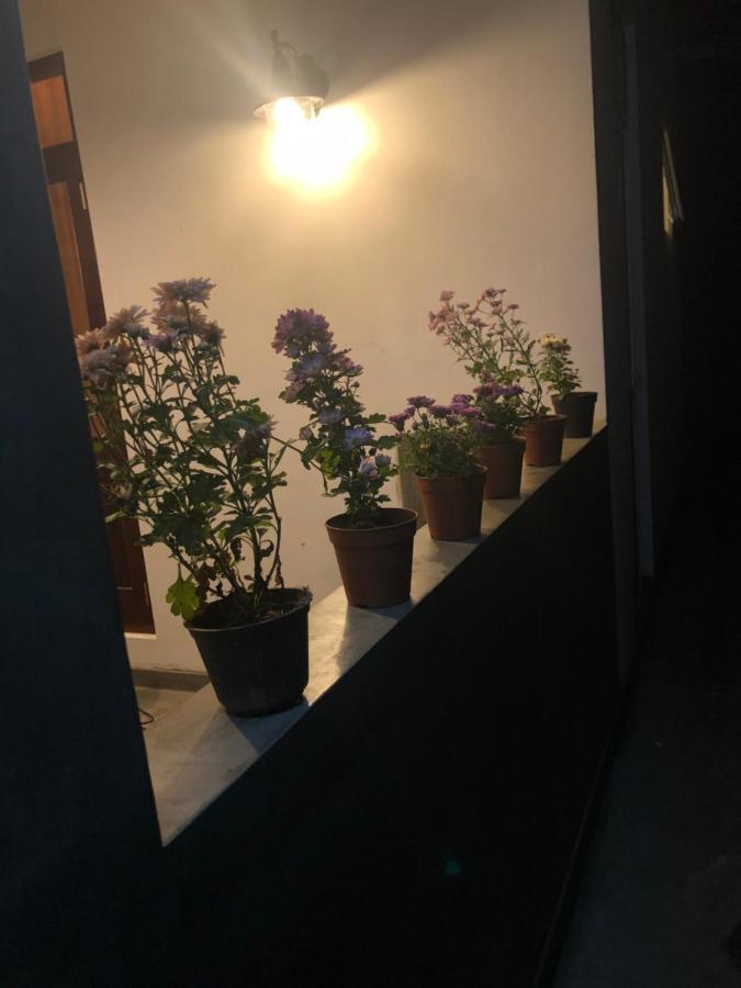 Lohas Villa Hiriketiya Dikwella Exterior foto